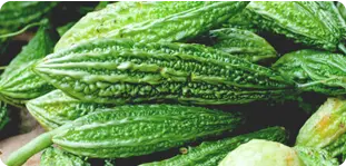 Bitter Melon